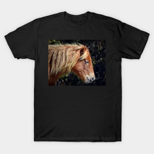 Assateague Pony Portrait T-Shirt